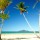 Planujesz wakacje na Dominikanie? Oto miejsca, które musisz odwiedzić!